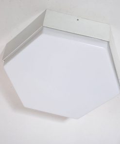 WA45. Raak lamp, Hexagoon