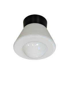 31. Bakelieten plafondlamp Komeet opaal