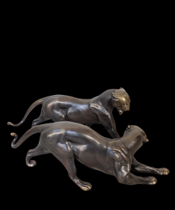 Alternative view of KA40 - Bronzen Panters - Jaren 60-80